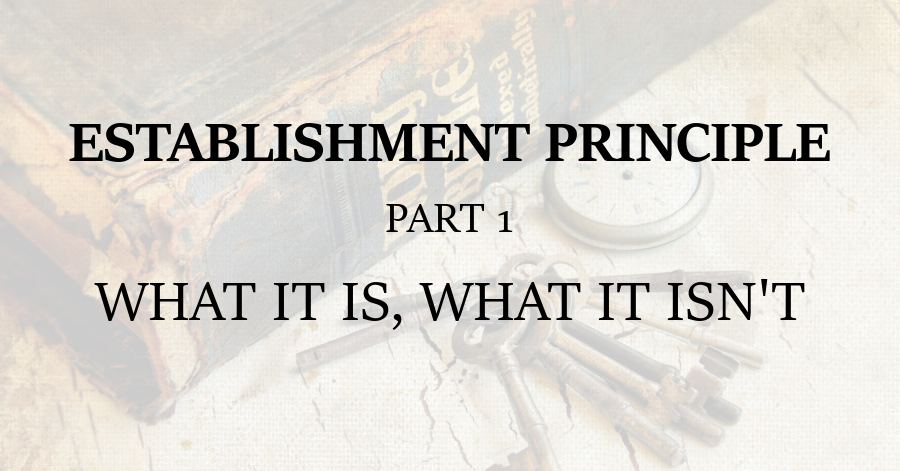 Establishment Principle 1 What it is What it isnt