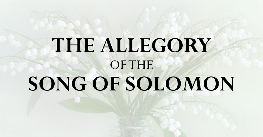 allegory of the song of solomon